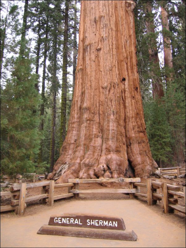 2006-11-04 Fresno Dome (19) General Sherman